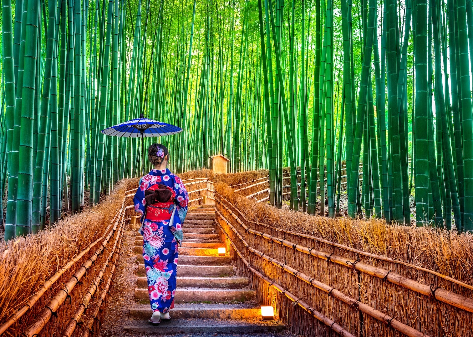 Adobe Stock #310592223 Arashiyama Bamboo Forest woman wearing kimono, Kyoto, Japan umbrella